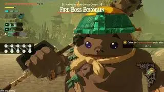 NEW Hyrule Warriors: Age of Imprisonment Playthrough (Ep.10)