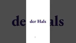 Learning Chain Articles in German 2/100