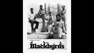 THE BLACKBYRDS SAMPLE MIX - Edutainment