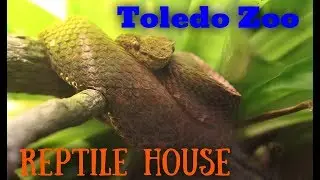 Toledo Zoo's Reptile House