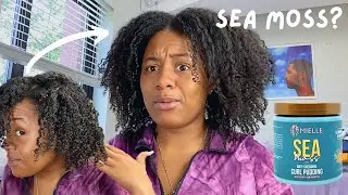 Sea Moss For Natural Hair Mielle Sea Moss Curl Defining Pudding