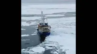 Морская Логистика. цены, ставки на судно.