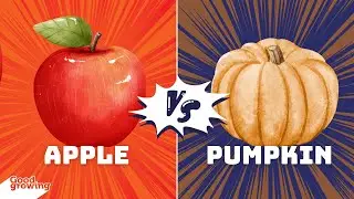 Gardenbite: Fall Flavors - Apple vs Pumpkin  | #GoodGrowing