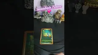 Immediate Future💗💘 #shorts #tarot #viral #guidance #tarotreading #wheeloffortune #tarotlovereading
