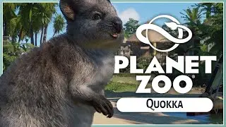 New Quokka! | Planet Zoo Oceania Pack | Screenshot Reveals