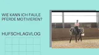 Wie kann ich faule Pferde motivieren?