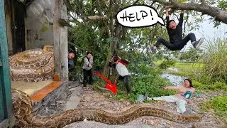 Brave Hunters Team Rescue Young Girl Attacked by Anaconda Nest in Abandoned House