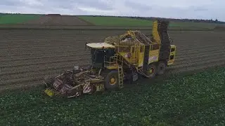 Ropa Tiger V8 im Einsatz | Monster auf dem Feld | R&uuml;benroden | Agrar Videos
