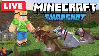 🔴 LIVE - Finding All The New Wolves! (Minecraft Snapshot 24w10A)