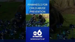 Pinwheels planted at Columbus City Hall for Child Abuse Prevention Month