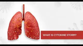 What is Cytokine Storm? | Apollo Hospitals