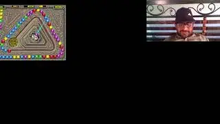 zuma live stream