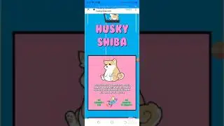 How to buy HUSKY SHIBA (HSHIBA) on PancakeSwap | HUSKYSHIBA 1000X Soon