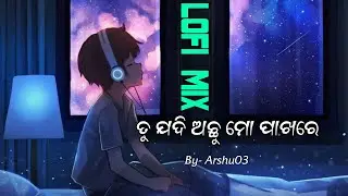 Tu Jadi Achu Mo Pakhare || Odia Lofi Mix || Bass Boosted Odia Song