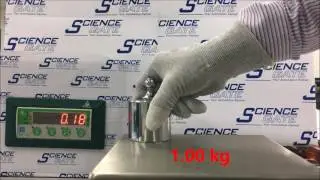 Pavone Sistemi PM0/I Weighing Platform with DAT1400 Transmitter