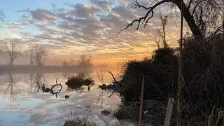 Replacement MoJo Decoy Poles - DIY