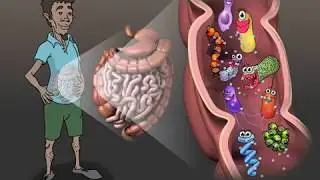 Microbial Enzymes and Us (Life Sciences Outreach, Harvard University)