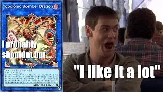 Topologic Bomber Dragon: I probably shouldn't but... 