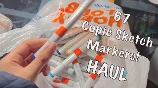 I searched EVERYWHERE for these markers! | 67 Copic markers haul
