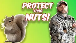 Pecan Tree Protectors: Taking Out 2 Squirrel Bandits! 🐿️💥