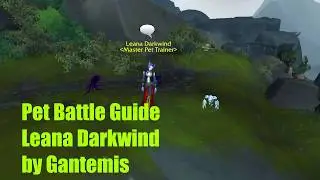 How to defeat Leana Darkwind pet battle