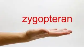 How to Pronounce zygopteran - American English