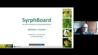 SyrphBoard - an online platform for recording hoverflies