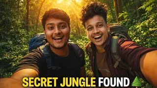 Jangal main mangal 