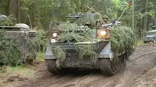 Lituania refuerza su ejército por temor a Rusia