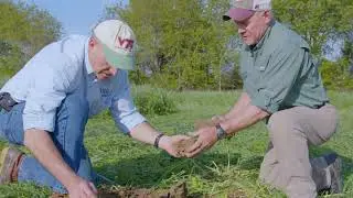 Cover Crops for Boosting Yields