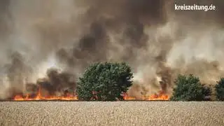 Fl&auml;chenbrand bei Bassum: 25 Hektar Kornfeld in Flammen