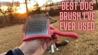 Chris Christensen Big G Slicker Dog Brush | Demonstration and In-depth Review