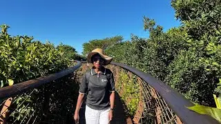 Vacations Capetown-Travel and Lifestyle with Neolife