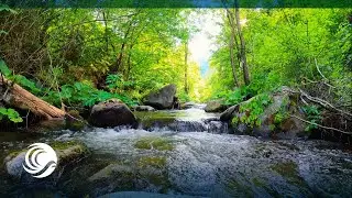 Peaceful Flowing River Sound | Calming & Relaxing Nature Sound | For Sleep, Focus or Study