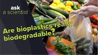 Действительно ли биопластики биоразлагаемы? | Спросите учёного