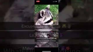 MALVEILLANCE MAX RATON LAVEUR