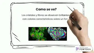 Microscopía Óptica- Grupo 1