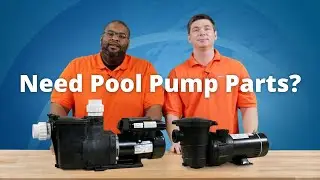 Need Parts For Your Pool Pump?