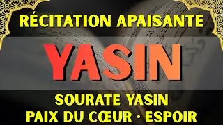 🔴 Sourate Yasin en Direct | R&eacute;citation Apaisante du Coran pour la Nuit du Samedi &bull; LIVE