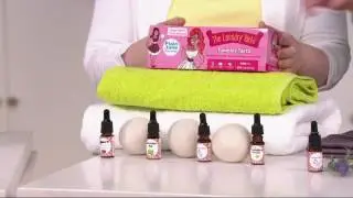 Laundry Tarts 4 Piece Scented Laundry Cleaning Kit on QVC