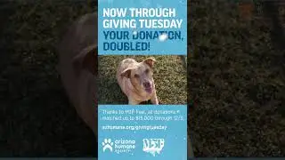 From Mange to Miracles: M3F & AHS