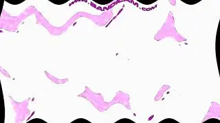 Klasky Csupo in Videoup Versions v1-10 My Version