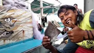 🔴#TERBARU||MANCING IKAN KIPER MONSTER||UMPAN NASI