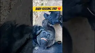 First Kiss to Forever Bond: Kisumu & Mobi&rsquo;s Story❤️