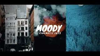 Top 3 Best Moody Urban Cinematic LUTs