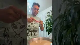 How To Make Kava (Fijian Drink)