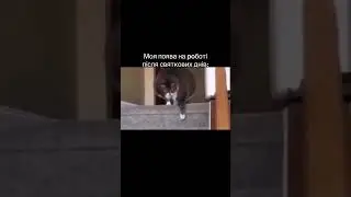 #життяяквоноє #memes #ржакадосліз #funny #коміки #top