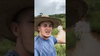 Perigo na &aacute;gua #suspense #fazenda #perigo #sitio #sucuri