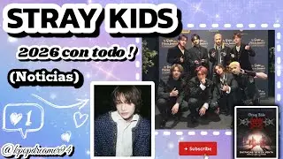STRAY KIDS 2026 CON TODO ! ( Festival en Paris , Hyunjin Dior y mas ) 🇦🇷🩷 @StrayKids 