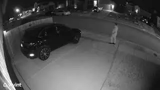 Big pervert from across the street